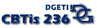 CBTis 236